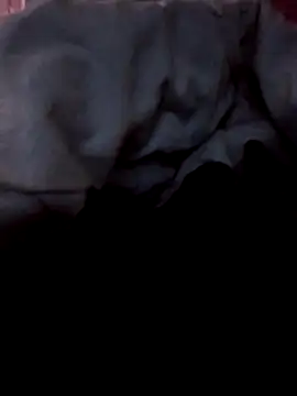 Bigdickmw online show from March 7, 4:43 am