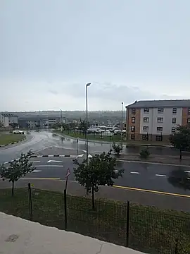 mojaymort online show from March 1, 9:20 am