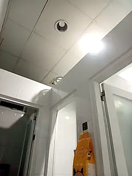 Bin77 online show from November 26, 1:25 pm