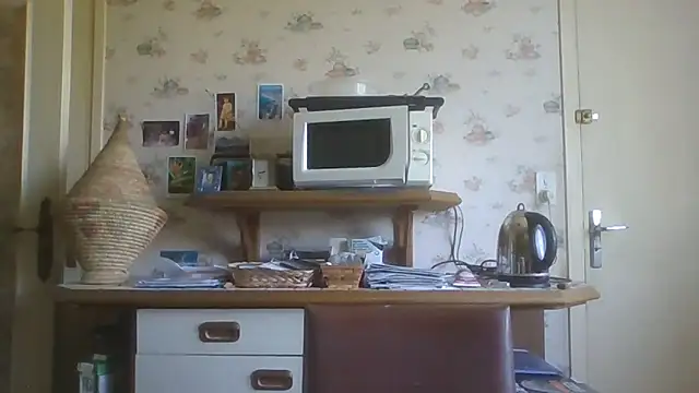 gegevincent online show from June 14, 10:28 am
