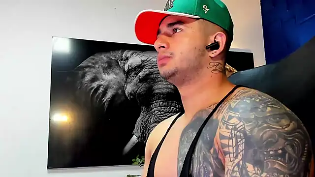 king falconer online show from November 28, 3:21 am