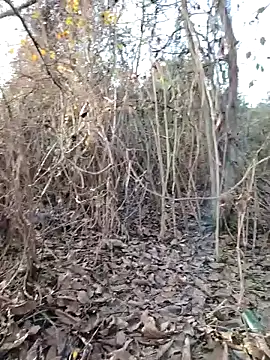 Prince-sexy online show from December 21, 2:14 pm