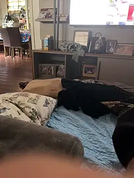 Dudupintudoo online show from November 17, 7:50 pm