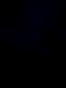 XyeseniaxseX online show from January 17, 8:17 am