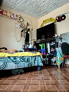 mexosito27 online show from February 20, 10:00 pm