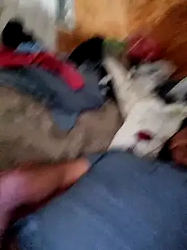 alber907 online show from February 4, 12:33 pm