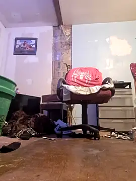 ModernMan381 online show from October 19, 9:56 am