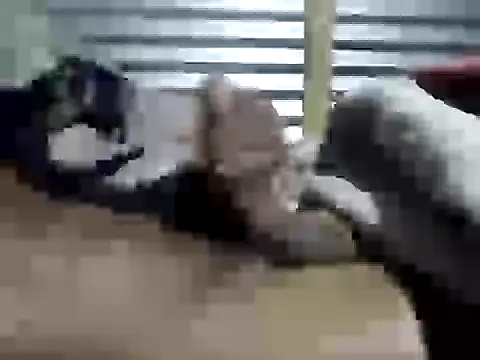 danierviwe online show from June 21, 4:07 am