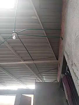 Tussi-amor online show from February 15, 7:00 pm