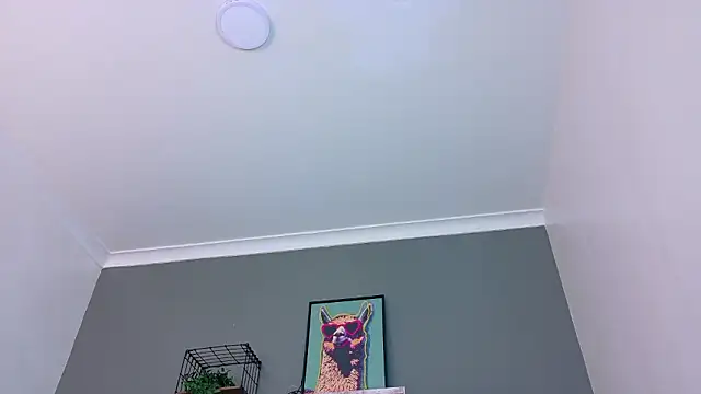 MrFox   online show from March 8, 2:04 am