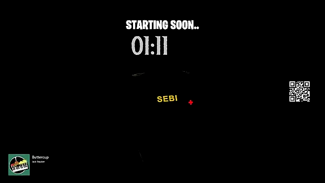 sebirp online show from September 27, 7:34 pm