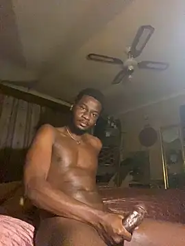 black Man dingo online show from December 3, 2:17 am