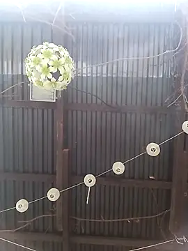 fickfreund019 online show from April 19, 7:30 am