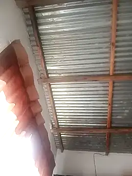 piipiipiipii online show from December 19, 1:08 pm