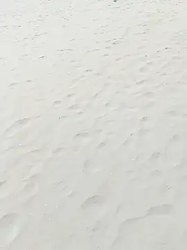 pegaso369 online show from September 22, 1:10 pm