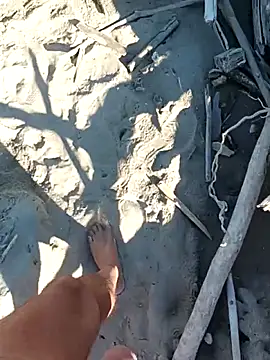 pegaso369 online show from October 28, 12:51 pm