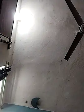 LiloWnn online show from December 14, 4:03 pm