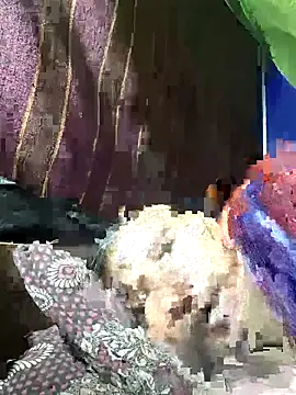 ResponsibleGuide2 online show from November 13, 12:21 pm