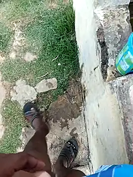 dolphiinn online show from February 17, 11:53 am