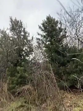 desiredude9 online show from November 2, 9:57 am