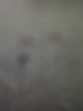 Rimvideo online show from July 7, 8:23 pm