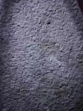 lalop221 online show from April 6, 2:41 am