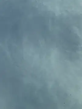 camboys poyraz online show from November 18, 1:04 pm