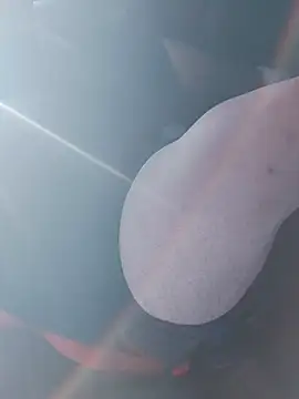 big teddy98 online show from January 7, 2:55 pm