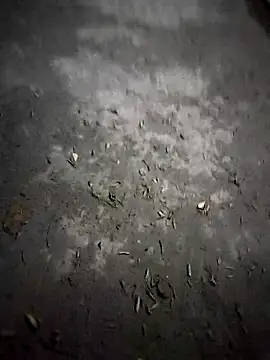 Bastian2517 online show from November 15, 12:12 am