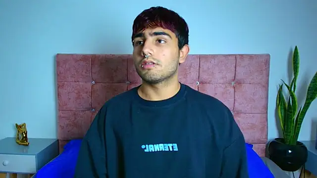 Ares Alpha online show from November 24, 7:26 pm