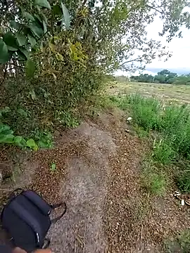 magraocam online show from November 6, 4:10 pm