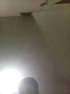 Bebicho14 online show from November 22, 5:29 am