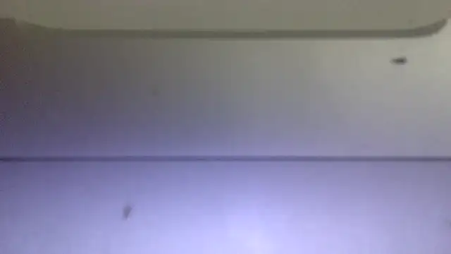 edger4lif3 online show from November 1, 11:47 am