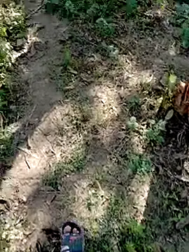 bigdaddyboy46 online show from November 5, 7:32 am