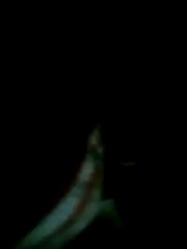 Snapshot of Msoon001 chatting on September 25, 1:04 am Msoon001 online show from September 25, 1:04 am