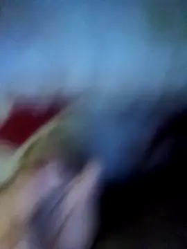 alone boy802 online show from December 2, 9:51 pm