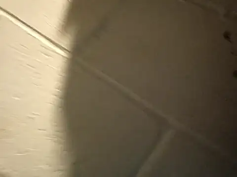 FreaxxxyAngel online show from January 19, 6:26 am