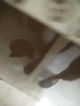 Valen Squirt04 online show from April 16, 2:44 am