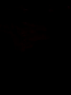 LewdHug51 online show from October 1, 4:44 pm