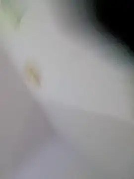 vishal sweeti online show from October 4, 6:57 pm