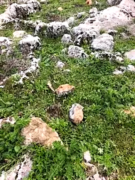 Sert erkek21 ysm online show from March 26, 1:26 pm