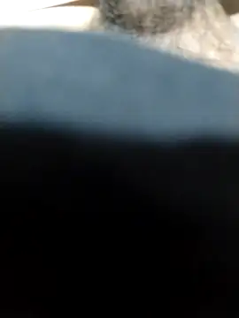 veintitres23 online show from November 11, 7:24 am