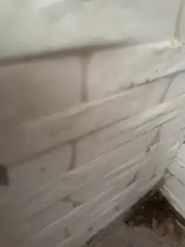 pn12345 online show from December 18, 3:02 am