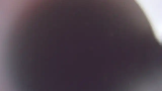 Stefano Calle online show from December 3, 11:38 am