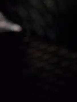 BeppeRagnar online show from March 27, 8:26 am