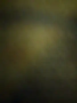 svk 05 online show from November 5, 5:37 pm