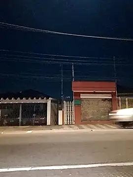 roludao fun online show from July 11, 5:53 am