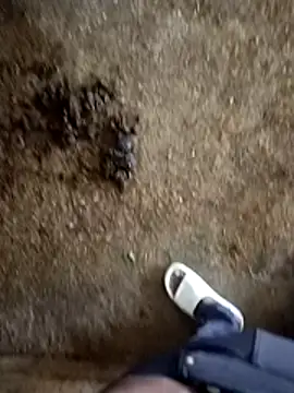 Saddam2332 online show from November 5, 2:57 am