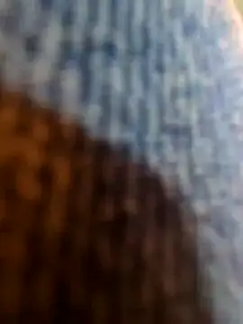 vivodan online show from November 4, 1:23 pm