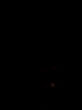 Joseerinaldo99 online show from February 14, 2:06 am